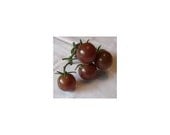 15 Blackest Cherry Tomato Seeds-1201