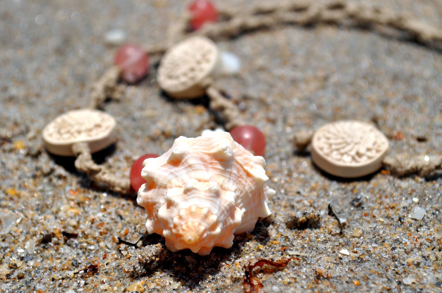 Conch Sea Shell Necklace