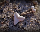 Faux Shark Tooth Necklace