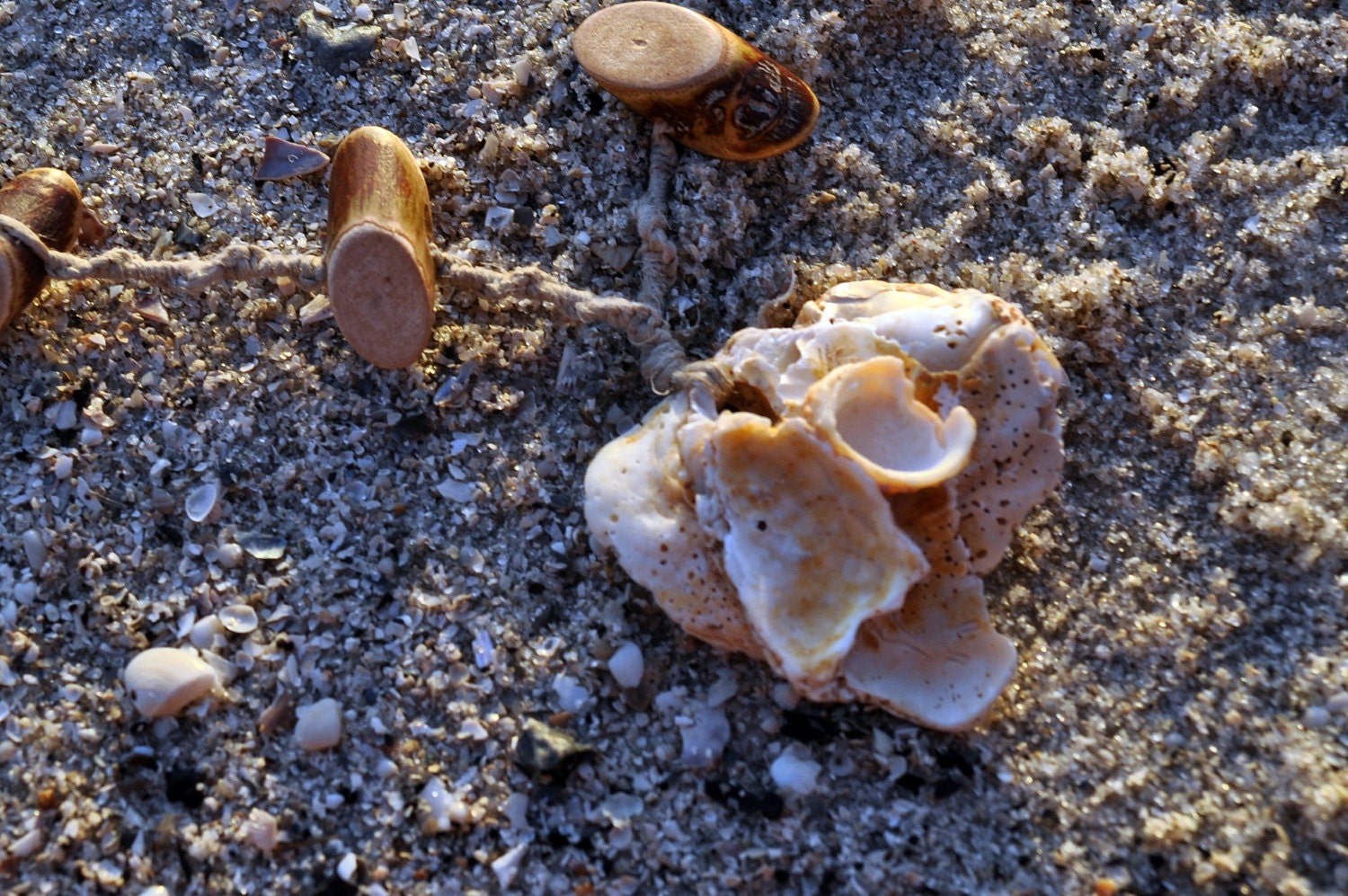 Sea Shell Necklace with Wooden Logs