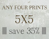 Flower Photography Set - Four Prints 5x5 - square prints - gift set - print sets - photo print set