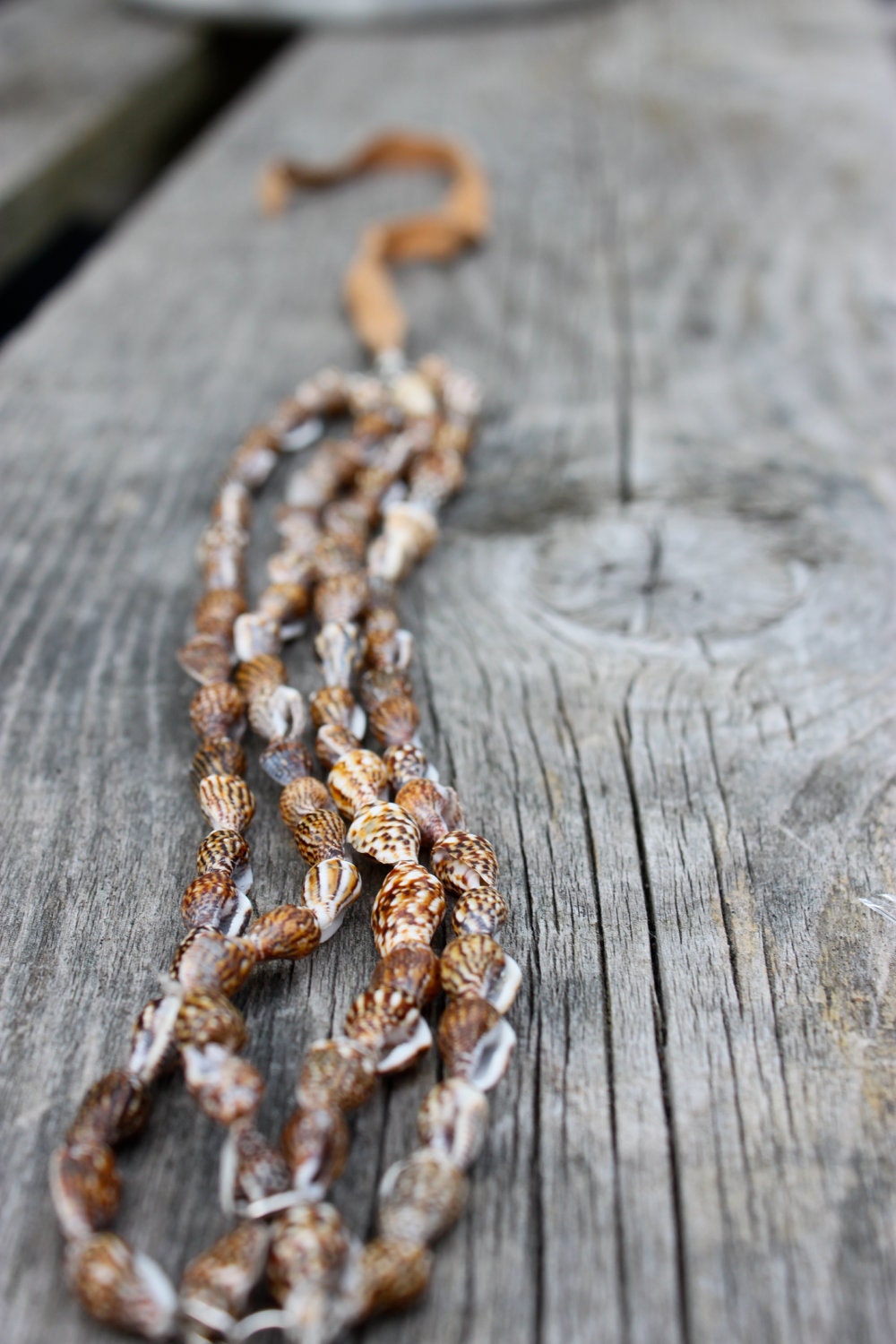 Arose From the Sea - Sea Shell Armband
