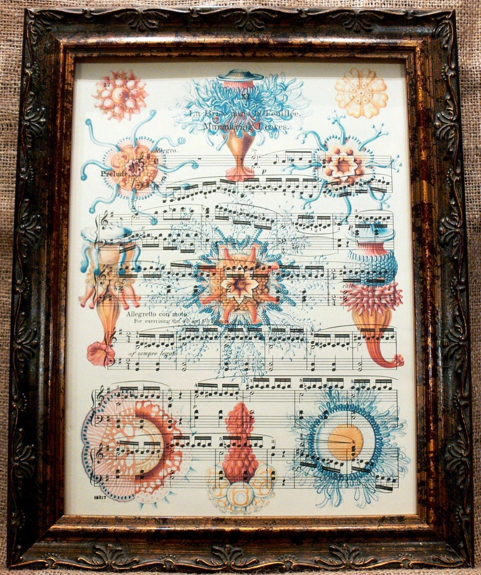 Marine Creatures Art Print from 1904 on Antique Music Book Page
