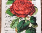 Red Rose Flower Art Print on Antique Music Book Page