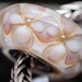 GlassBonBon Double Flower SRA Lampwork Bead fits troll BHB fully cored