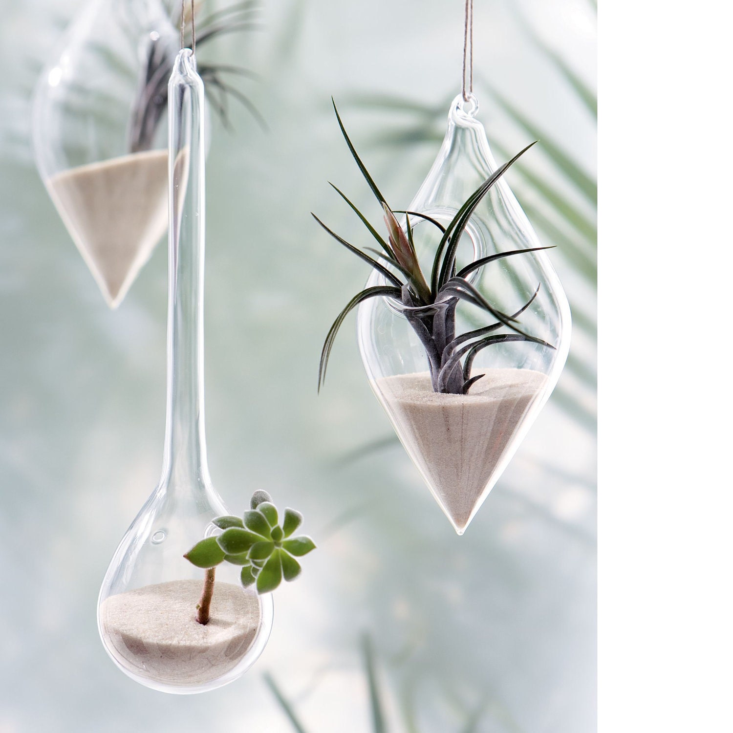 uk seller: Hanging teardrop shaped glass bottle garden terrarium kit with airplant make your own micro cultures and plant flower arangement