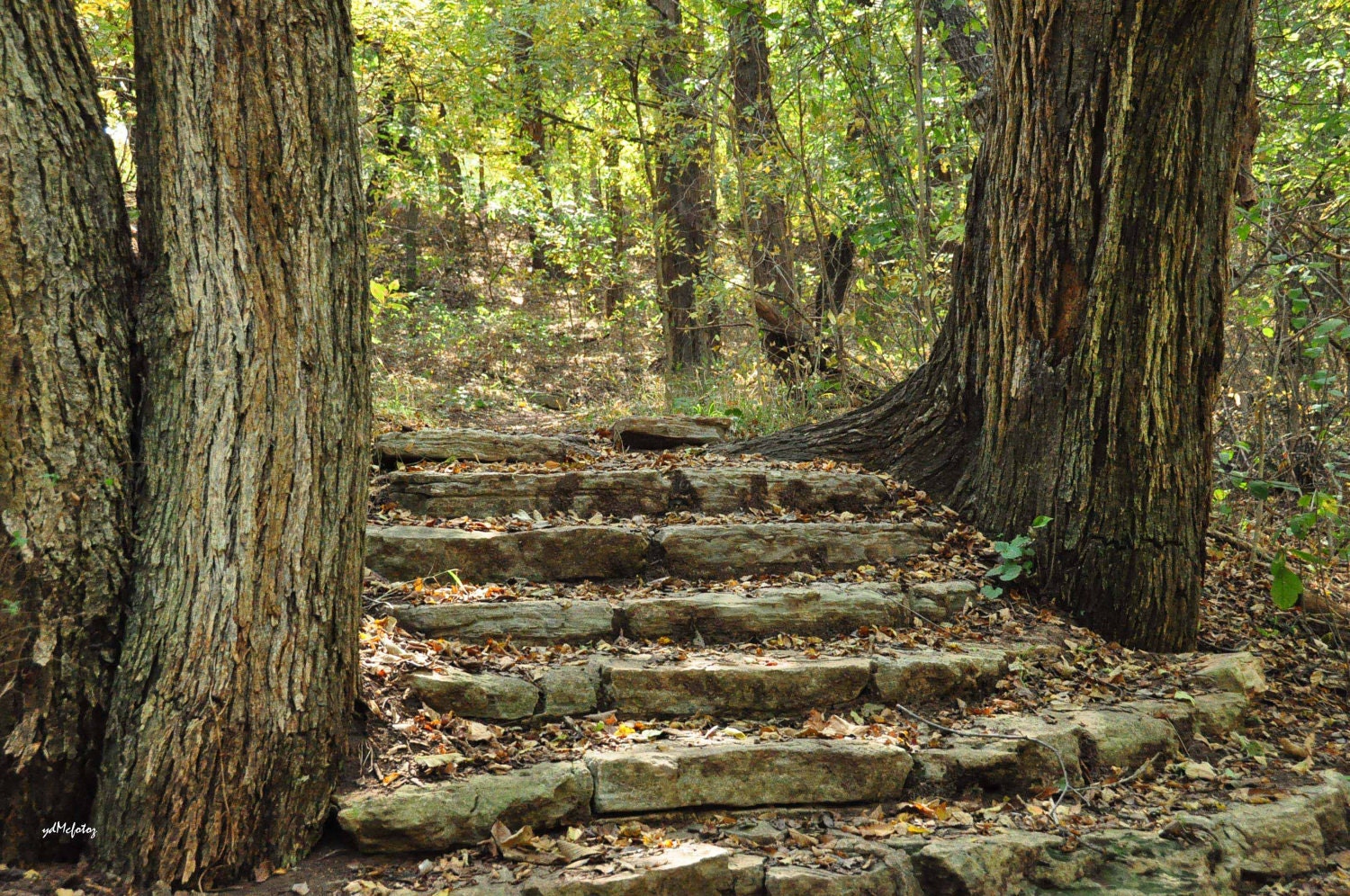 stone stairway