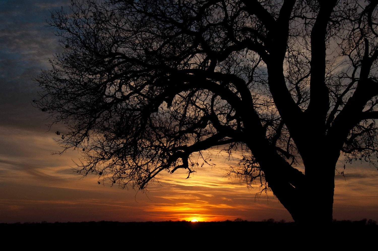 fine art photography - Prairie Sunset - nature photography - Oklahoma ...