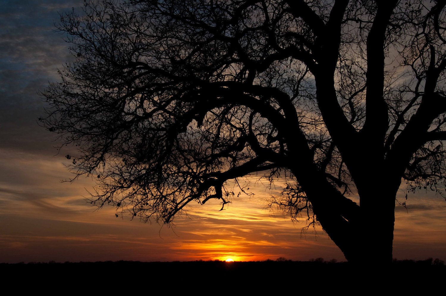 liege-dailyphoto: Prairie Sunset - nature photography