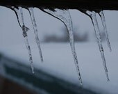 Frozen in Motion 8x10 Fine Art Print