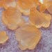 SALE - Frosted OrangeLucite Beads Trumpet Calla Lily Flower, Acrylic 6 Petal Beadcap 10mm, Set of 100 pieces, Black Friday