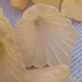 50 Lucite Flower Beads TRUMPET Calla Lily Bead 12x12mm, Frosted ORANGE Ribbed Beadcaps- 50 pcs, Jewelry Making