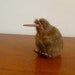 Weird Retro Kiwi Bird 1970's