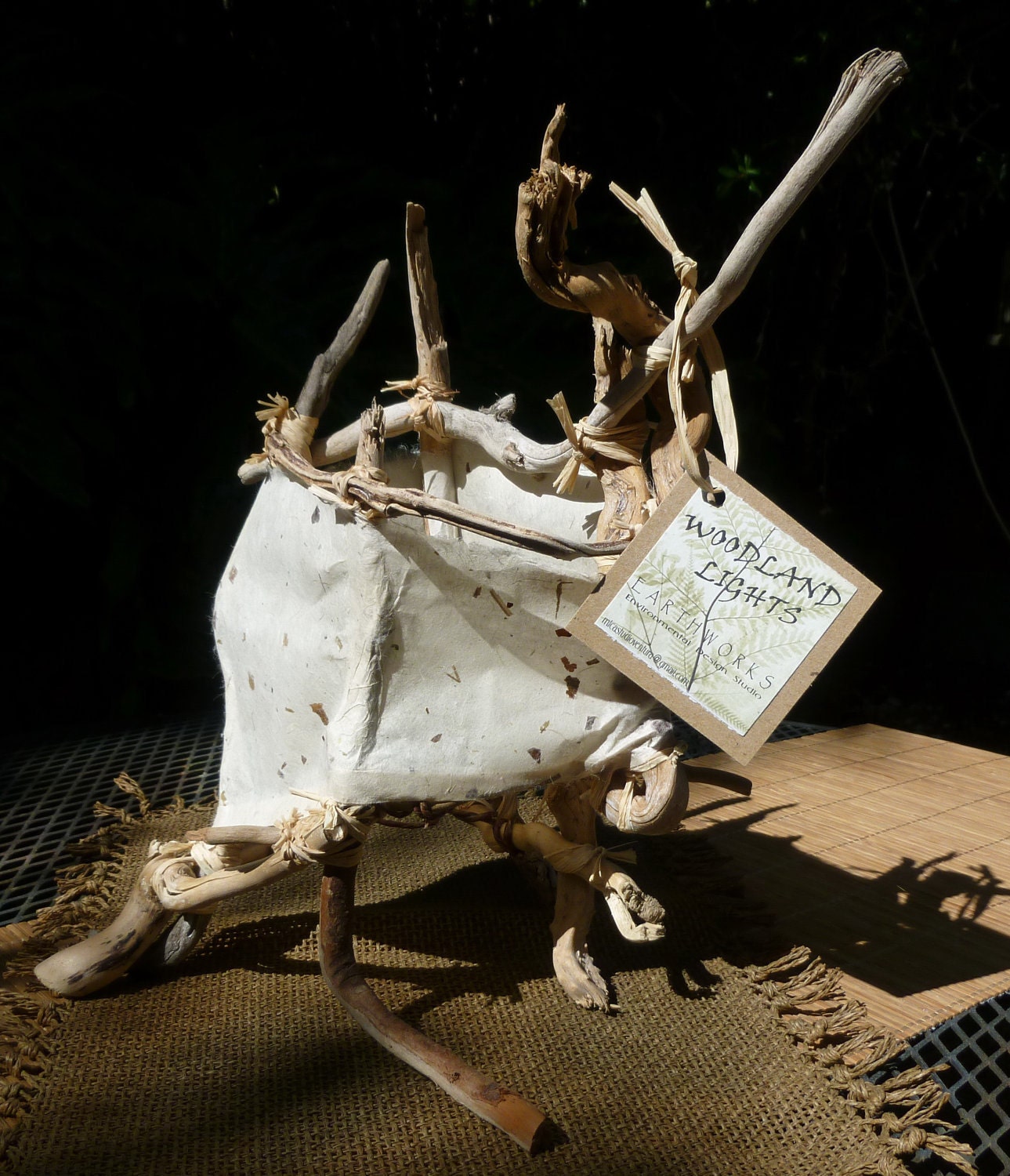 Table Lamp: "Beachcomber" Natural Driftwood & Handmade Paper Latern / Lighting-OOAK