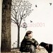 Nersury wall decals wall stickers -lovely tree with birds