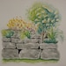 Original Watercolor Print of Rock Garden---Flowers, Foliage, Stone Wall