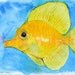Yellow Tang Watercolor- 5" x 7"