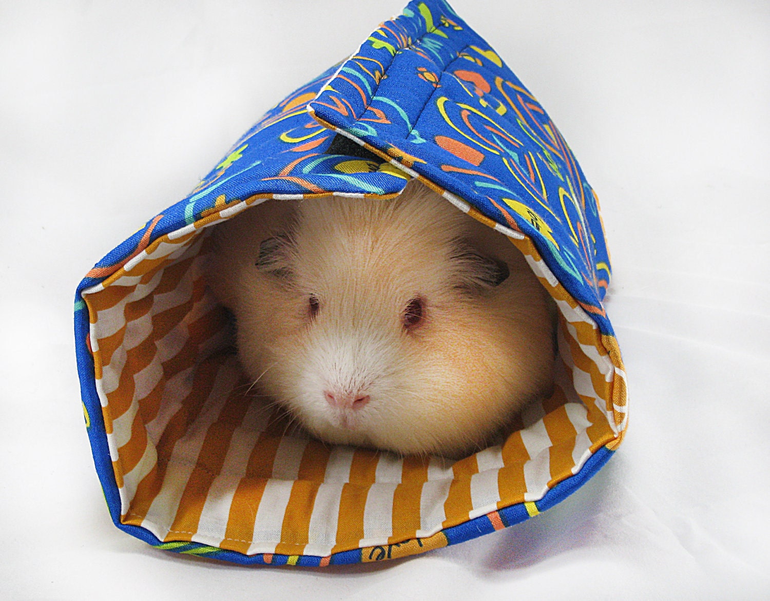 Joy and Love Guinea Pig Roll-up