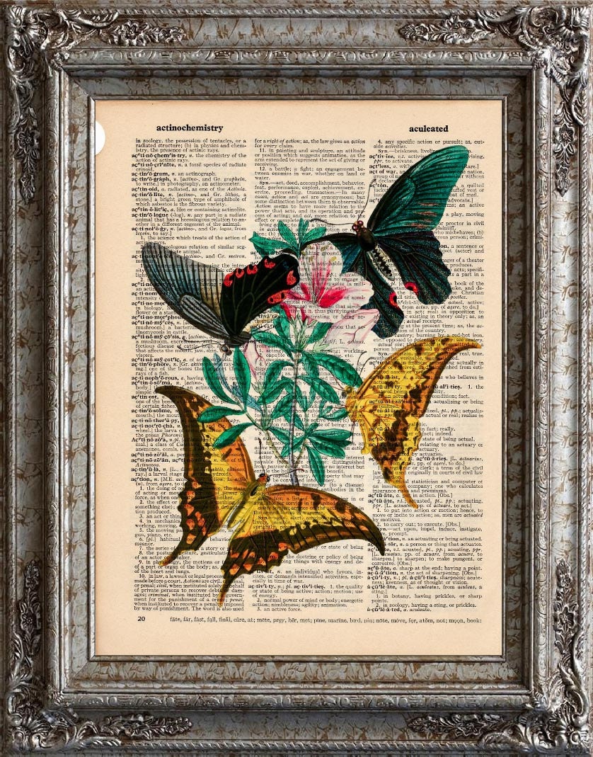 Asian Butterflies 2 on Vintage Upcycled Dictionary Page Book Art Print Recycled Repurposed