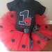 Personalized Ladybug Birthday Shirt