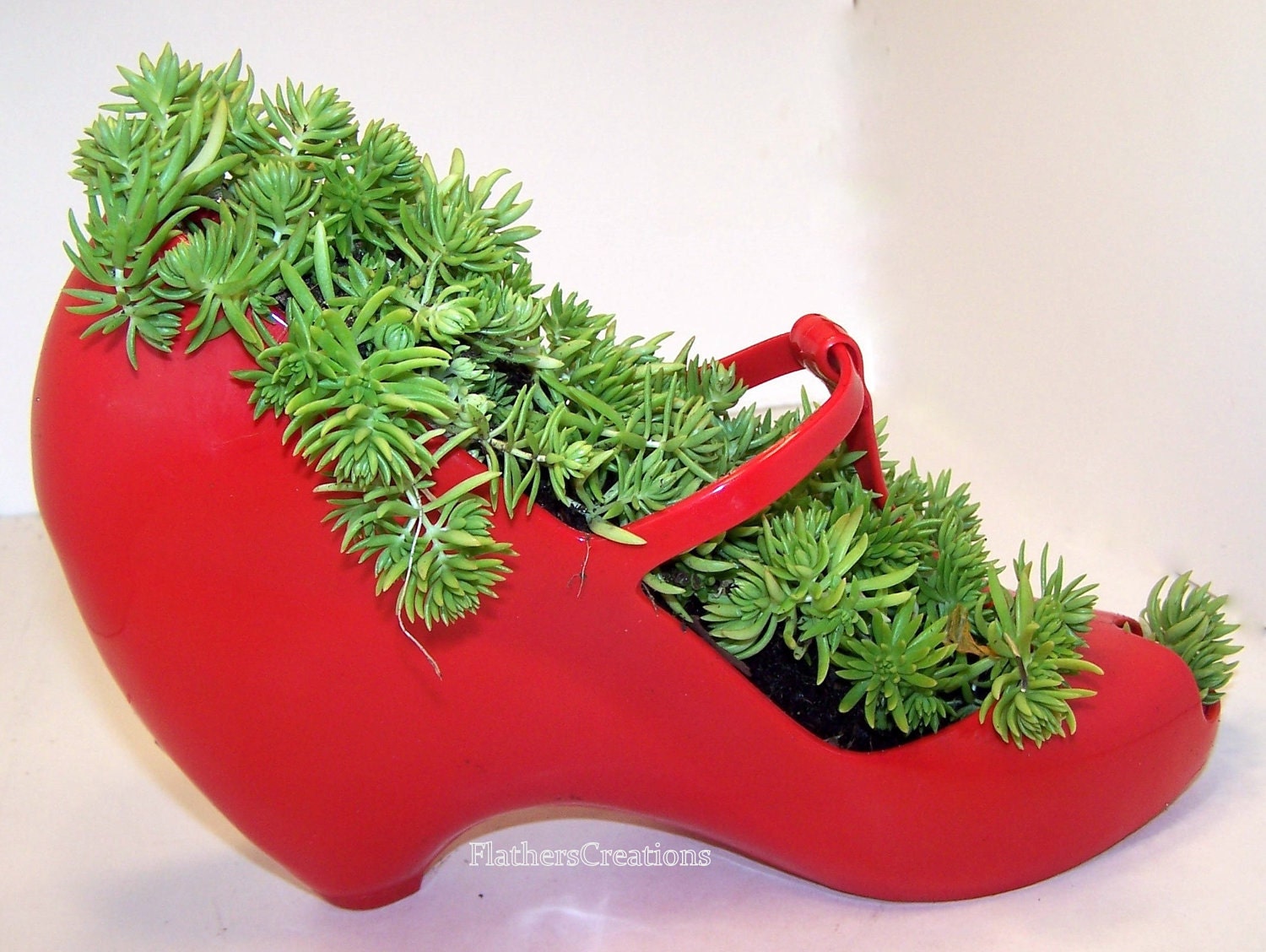 DIY planter Succulent Plant in Red  Rubber Shoe Planter Featured Etsy top 15