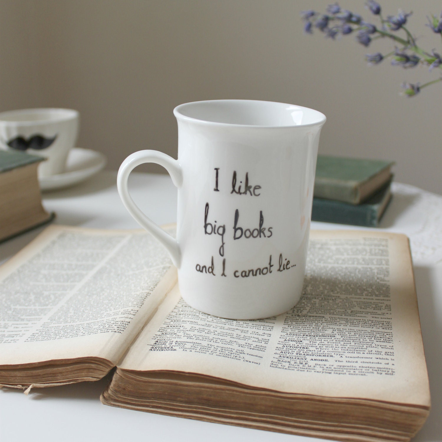 Hand drawn mug 'I like big books and I cannot lie'