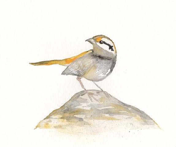 Yellow and Grey Sparrow Bird of Hope Watercolor Print