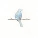 Serenity Birds 5x7 Watercolor 3 Prints for 30.00