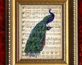 PEACOCK 1 Vintage Color Art Print 8x10 on Antique Sheet Music Page