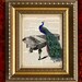 Vintage PEACOCK on PIANO DIctionary Art Print Antique Book Page Art Print Home Decor Wall Decor 8x10