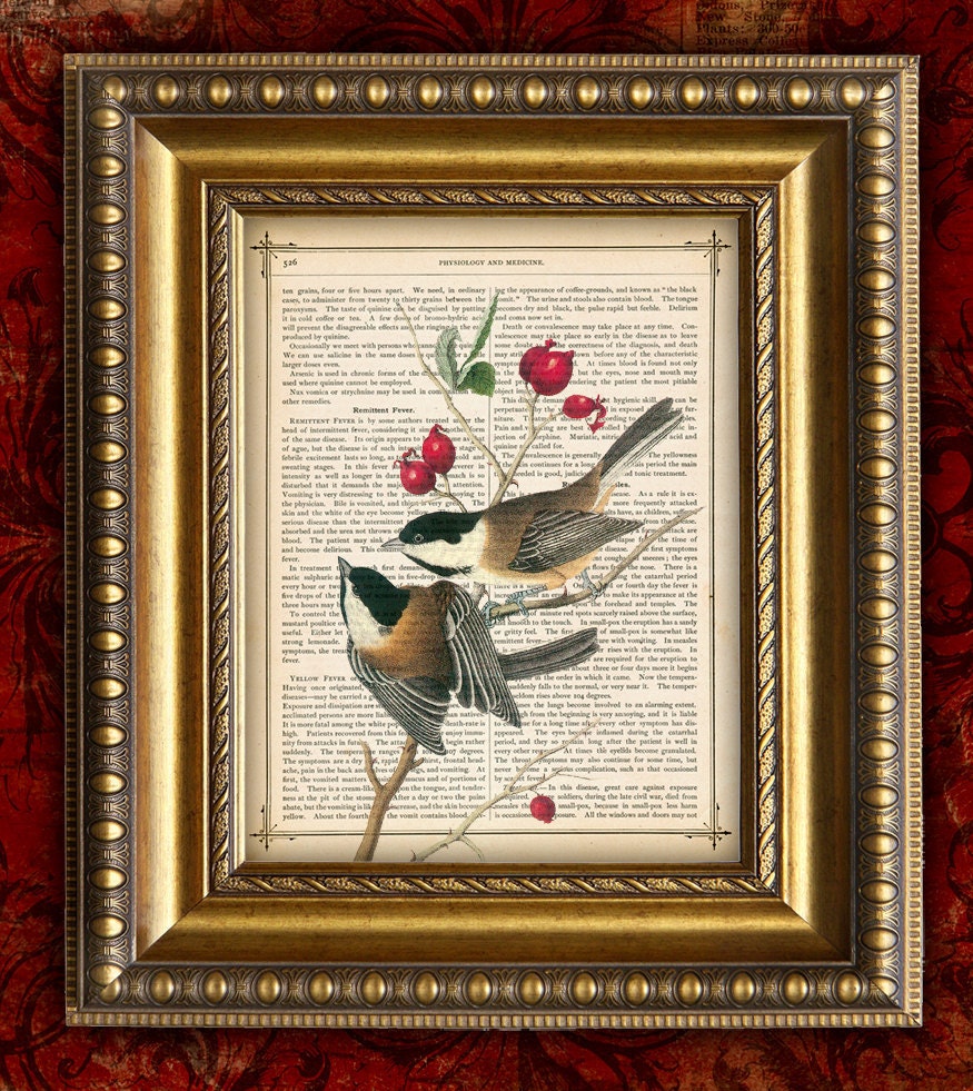 Birds Vintage Art Print 8x10 on recycled upcycled Antique 1881 Book Page BIRDS CHICKADEE Dictionary Art Print b125