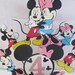 Mickey & Minnie Mouse Centerpice 9 pieces