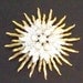 Vintage Sun Brooch Goldtone and Rhinestone Sun's Rays Brooch / Pin