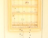 Pine Tone Jewelry Holder