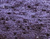 Rain Drops- Fine Art - Art Print -10x8 - Photography