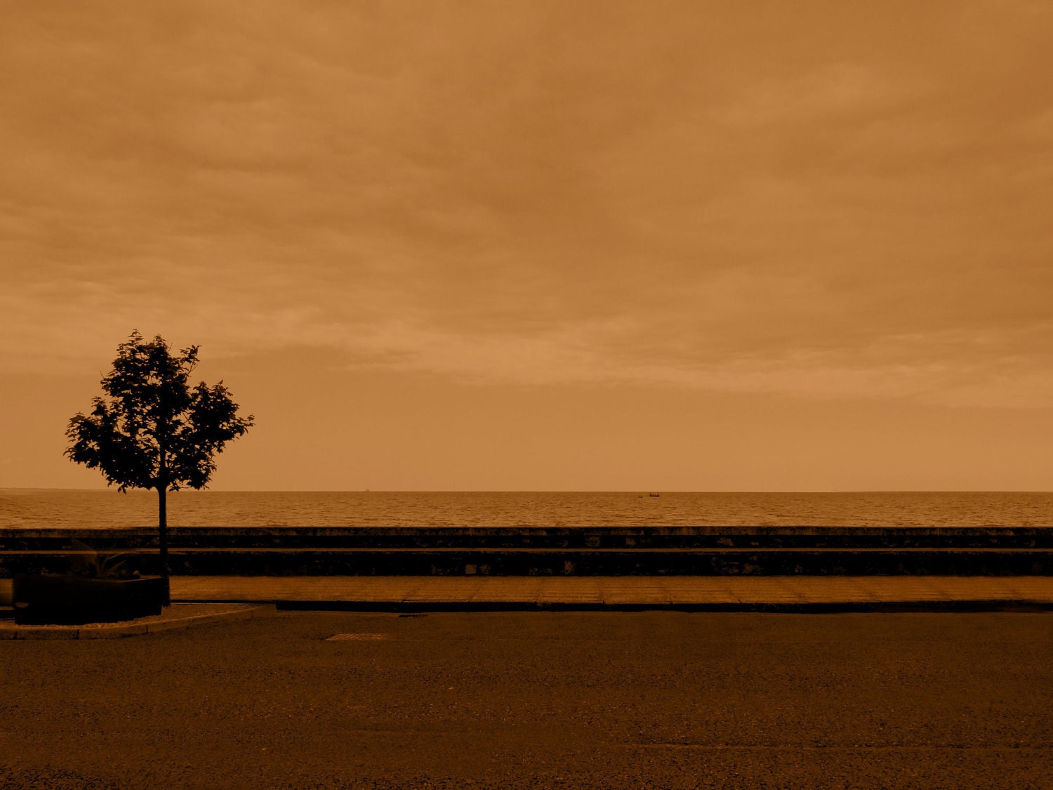 Ireland Tree and Seascape Pick Your Colour Fine Art