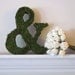 Moss Covered Ampersand (&) Wedding or Engagement Photo Shoot Prop ( 8 inches )
