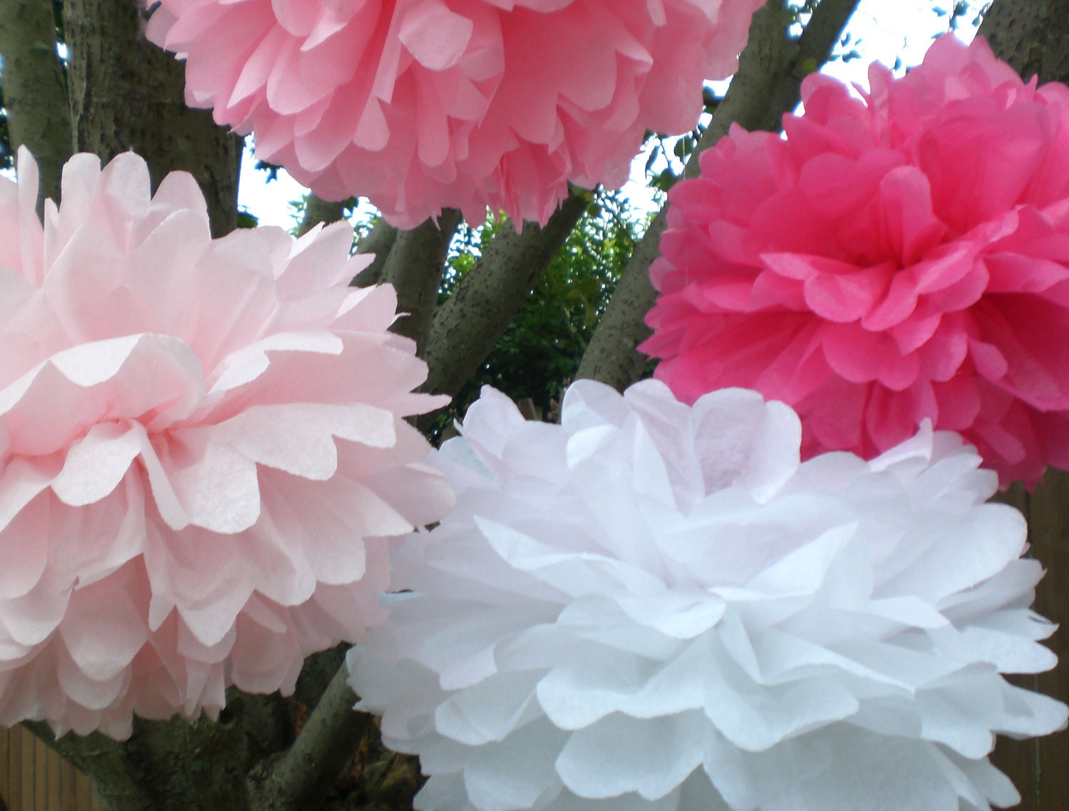 First Birthday Decorations - 8 Hanging Tissue  Poms Plus 3 Paper Flowers - Pink and White
