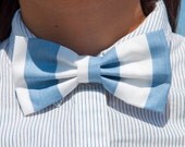 Easy Breezy Blue Bow Tie