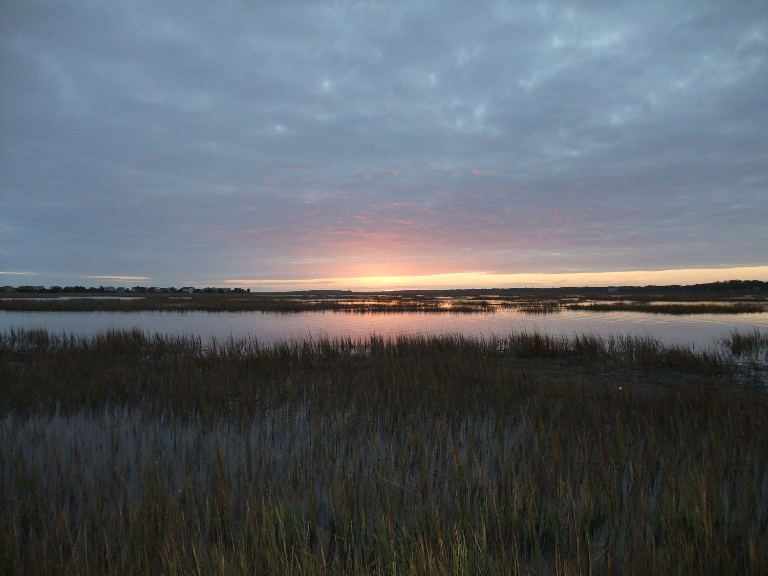 Sunset Marshes Metallic Photo Coastal 5 x 7 - Lehns