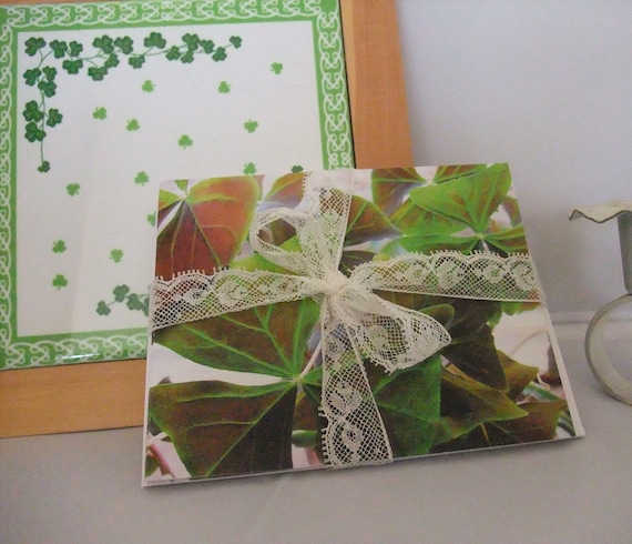 Buy e greeting cards gift ideas - Lucky Shamrocks, Best Wishes, Any Occasion Fine Art Photography Note Cards, Gift Idea under 10 - Set of Five