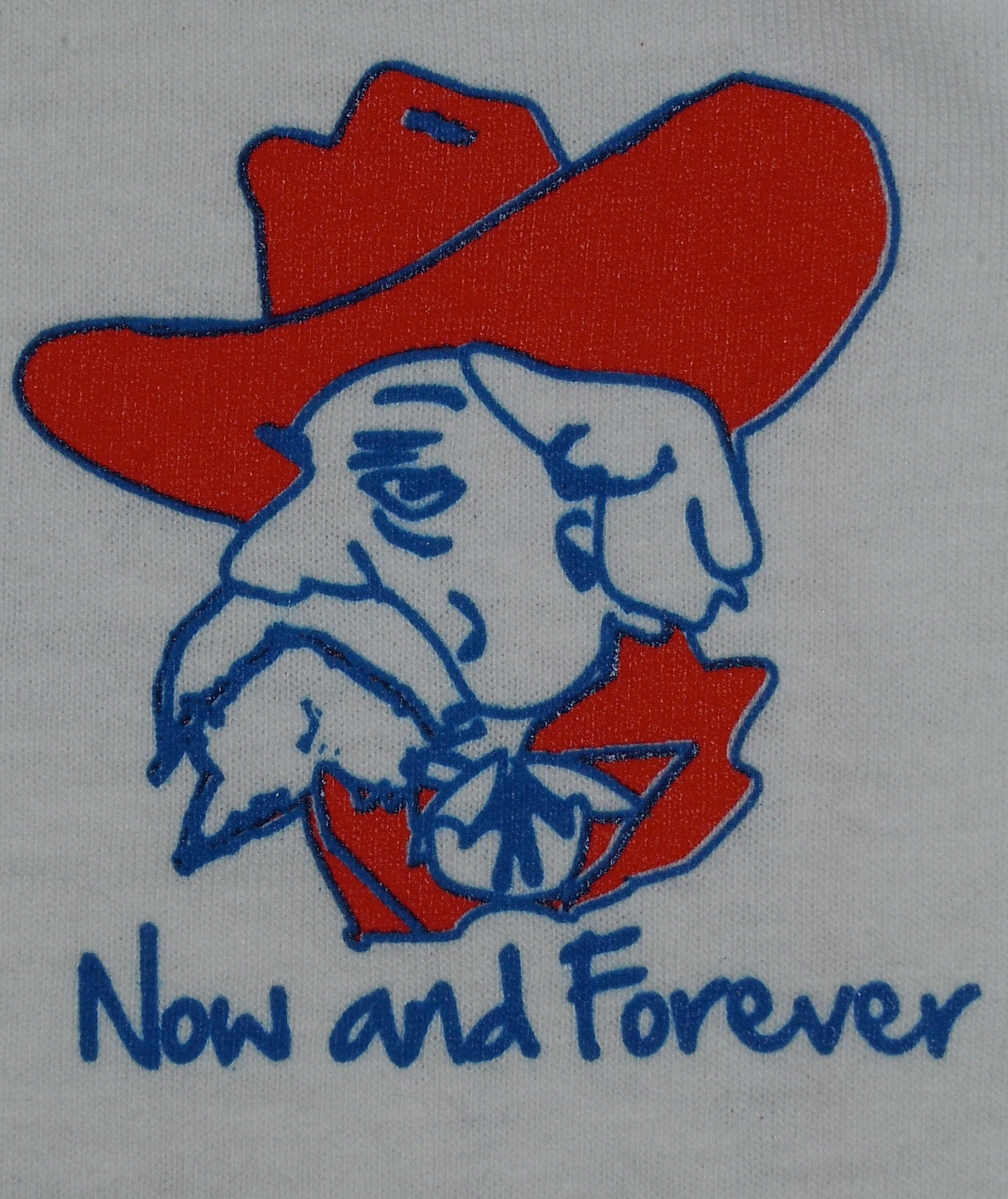 colonel reb shirt