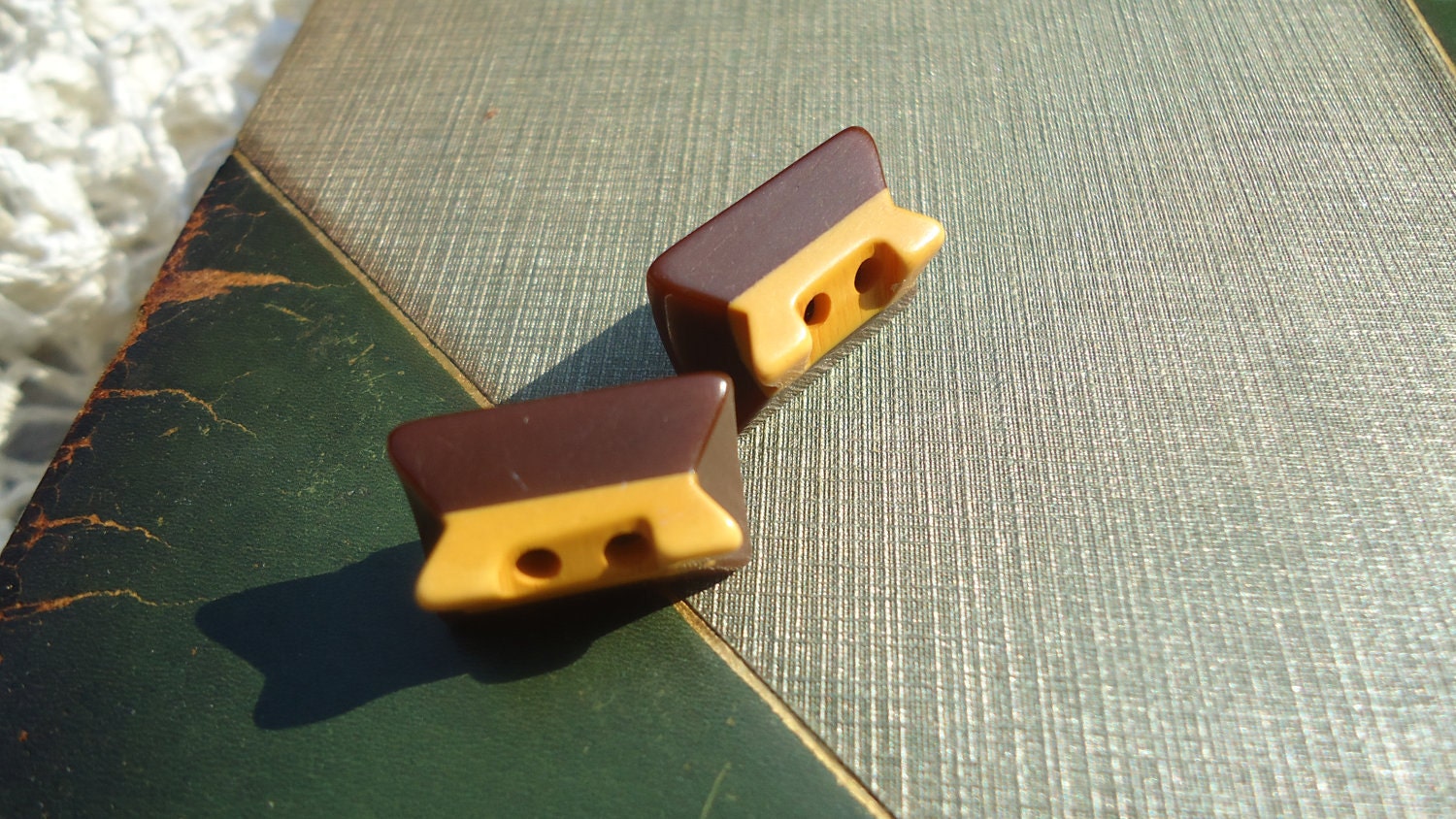 Antique Button Earrings, Bakelite