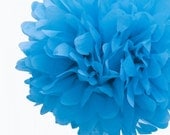 Tissue paper pomander -Tissue Paper Pom Pom Baby Blue Il_170x135