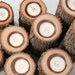 Tree Branch Candle Holders I- Rustic Wood Candle Holders, Tree Slice, Wooden Candle Holders