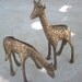 Vintage Brass Giraffes Set of 2
