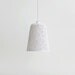 Hanging pendant light from the Branches of light collection (medium)