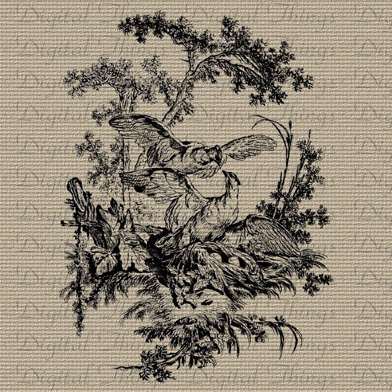 French Vintage Valentines Day Love Birds Eggs Family Nest Digital Download for Iron on Transfer Print Fabric Pillows Tea Towels DT672