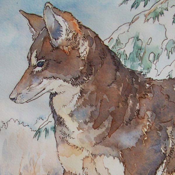 Coyote in Winter - original watercolor in tan, grey, green and white