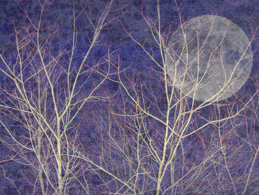 Winter Night with Full Moon - Archival print (7.5x10)